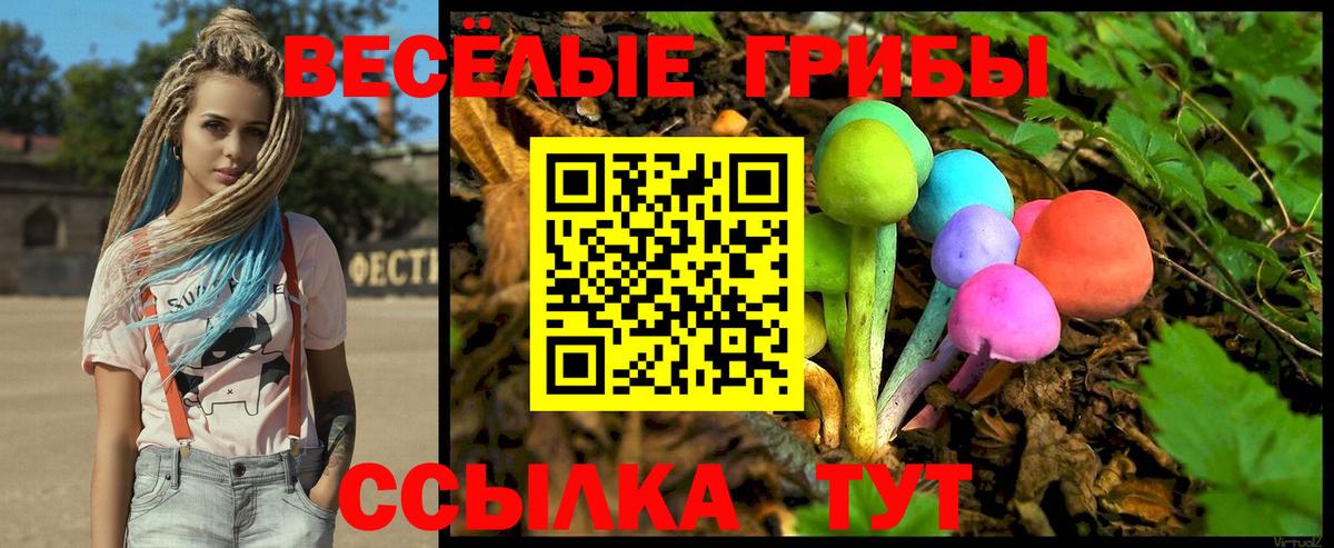 Галлюциногенные грибы GOLDEN TEACHER  Вход с VPN  Самара 